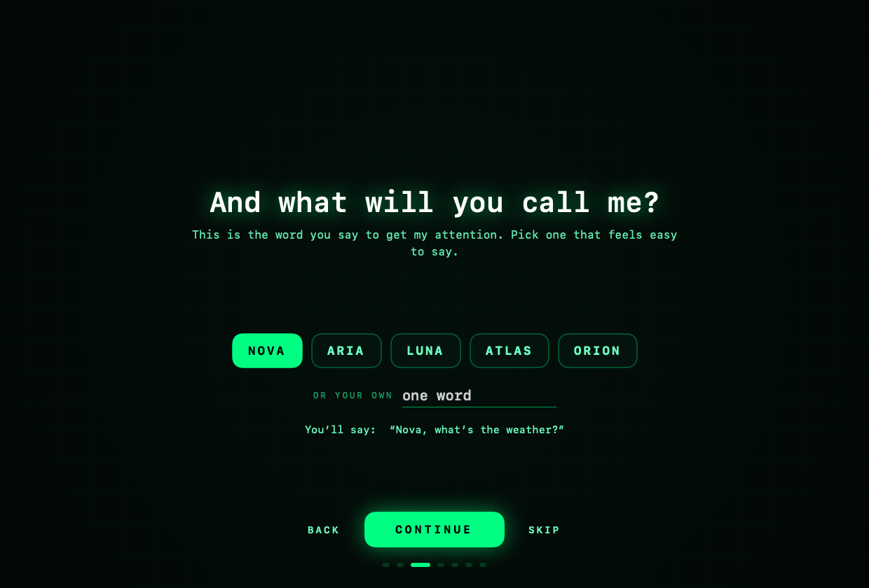 Nova's welcome screen asking: And what will you call me? with five name choices: Nova, Aria, Luna, Atlas and Orion, and a box to type your own.
